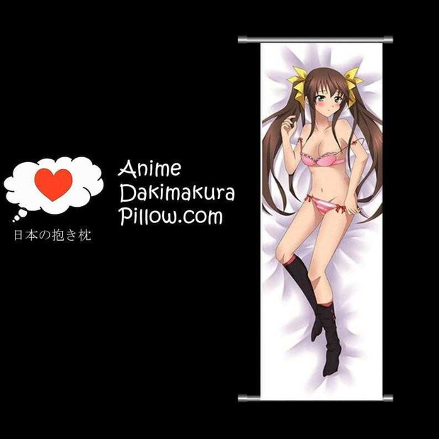 Infinite Stratos DAKIMAKURA Anime Wall Banner IS46 Anime Dakimakura Pillow Shop