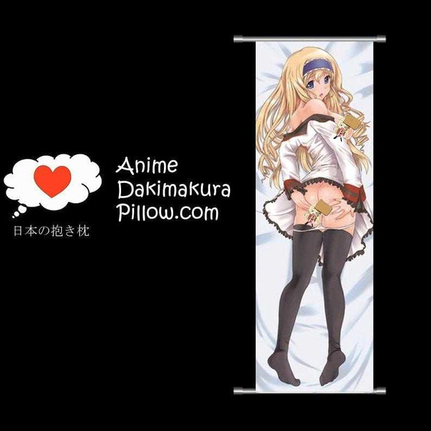 Infinite Stratos DAKIMAKURA Anime Wall Banner IS52 Anime Dakimakura Pillow Shop