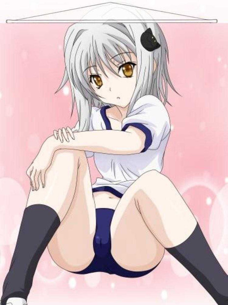 High School DxD Japanese Anime Wall Scroll Poster and Banner 11 Anime Dakimakura Pillow Shop