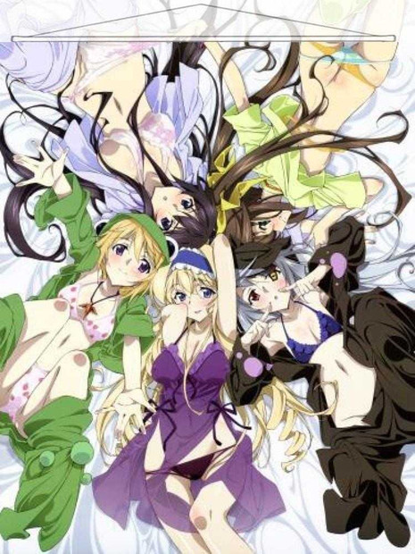 Infinite Stratos Japanese Anime Wall Scroll Poster and Banner 2 Anime Dakimakura Pillow Shop