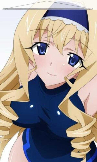 Infinite Stratos Japanese Anime Wall Scroll Poster and Banner 8 Anime Dakimakura Pillow Shop