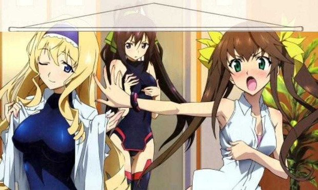 Infinite Stratos Japanese Anime Wall Scroll Poster and Banner 12 Anime Dakimakura Pillow Shop