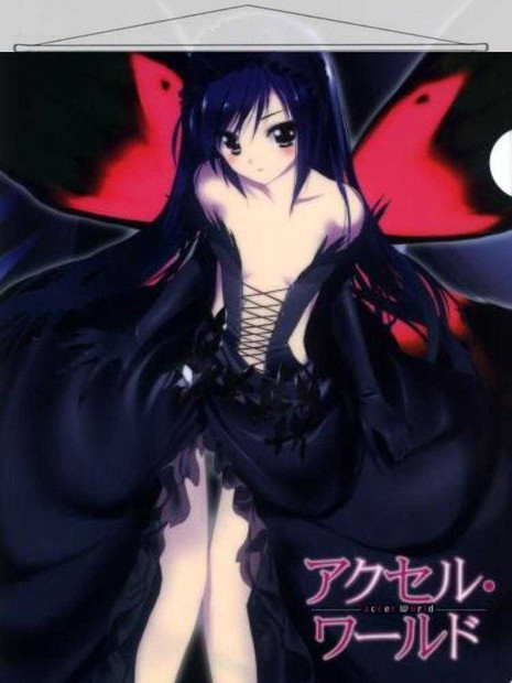ADP Kuroyukihime - Accel World Japanese Anime Wall Scroll Poster and Banner 2 Anime Dakimakura Pillow Shop