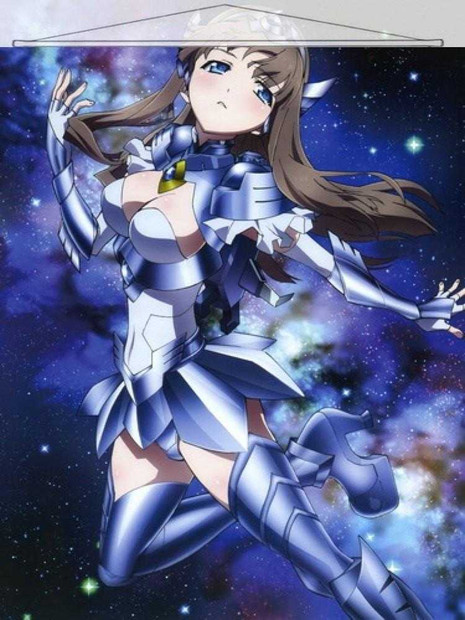 ADP Fuko Kurasaki - Accel World Japanese Anime Wall Scroll Poster and Banner 8 Anime Dakimakura Pillow Shop