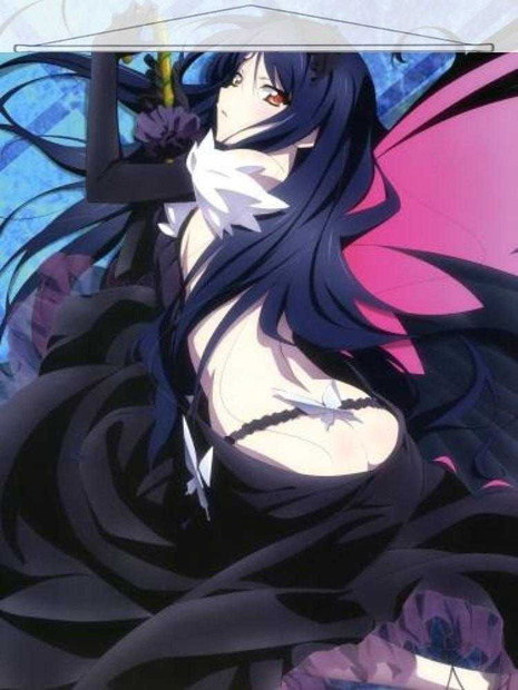 ADP Kuroyukihime - Accel World Japanese Anime Wall Scroll Poster and Banner 16 Anime Dakimakura Pillow Shop