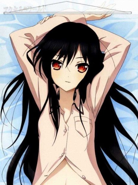 ADP Kuroyukihime - Accel World Japanese Anime Wall Scroll Poster and Banner 18 Anime Dakimakura Pillow Shop