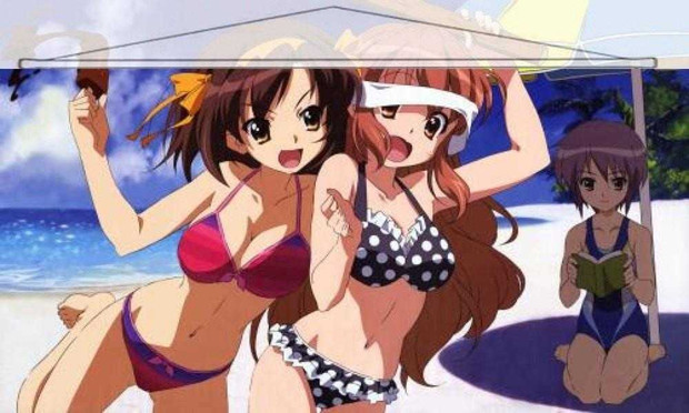 Haruhi Suzumiya Japanese Anime Wall Scroll Poster and Banner 9 Anime Dakimakura Pillow Shop