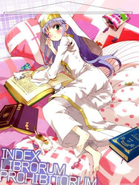 Toaru Majutsu no Index Japanese Anime Wall Scroll Poster and Banner 7 Anime Dakimakura Pillow Shop