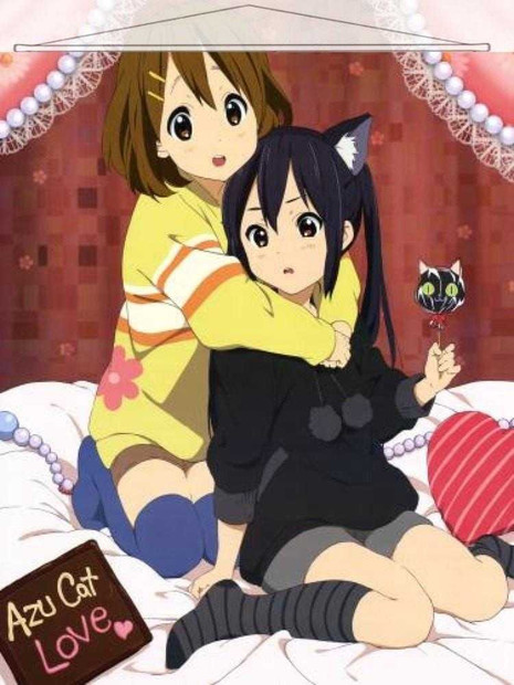 K-On Japanese Anime Wall Scroll Poster and Banner 55 Anime Dakimakura Pillow Shop