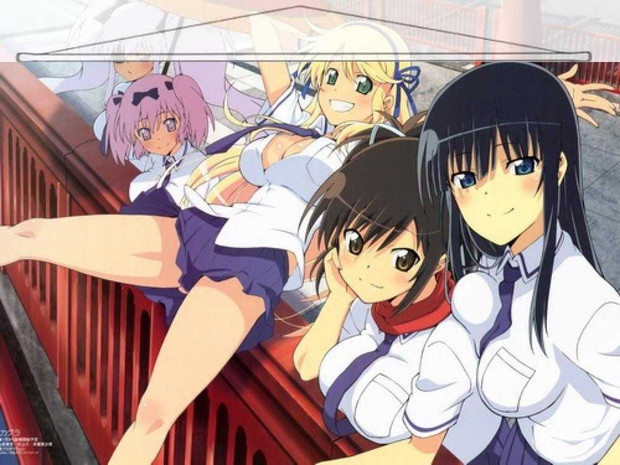 Senran Kagura Japanese Anime Wall Scroll Poster and Banner 1 Anime Dakimakura Pillow Shop