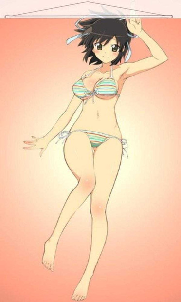 Asuka - Senran Kagura Japanese Anime Wall Scroll Poster and Banner 2 Anime Dakimakura Pillow Shop