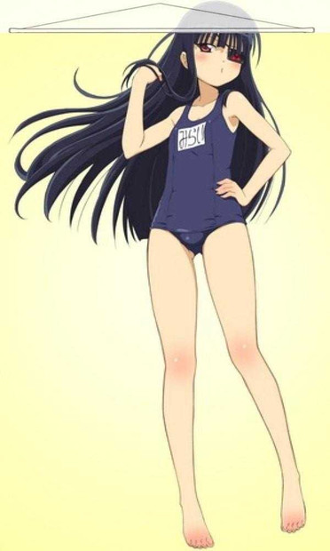 Mirai Senran Kagura Japanese Anime Wall Scroll Poster and Banner 3 Anime Dakimakura Pillow Shop