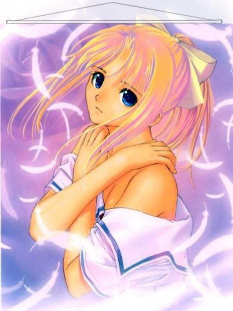 Tony Taka Japanese Anime Wall Scroll Poster and Banner 9 Anime Dakimakura Pillow Shop