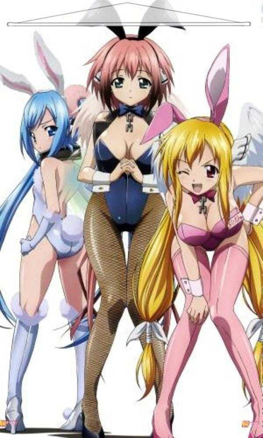 Heaven Lost Property Japanese Anime Wall Scroll Poster and Banner 20 Anime Dakimakura Pillow Shop