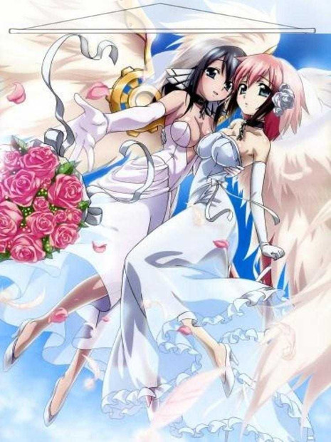 Heaven Lost Property Japanese Anime Wall Scroll Poster and Banner 31 Anime Dakimakura Pillow Shop