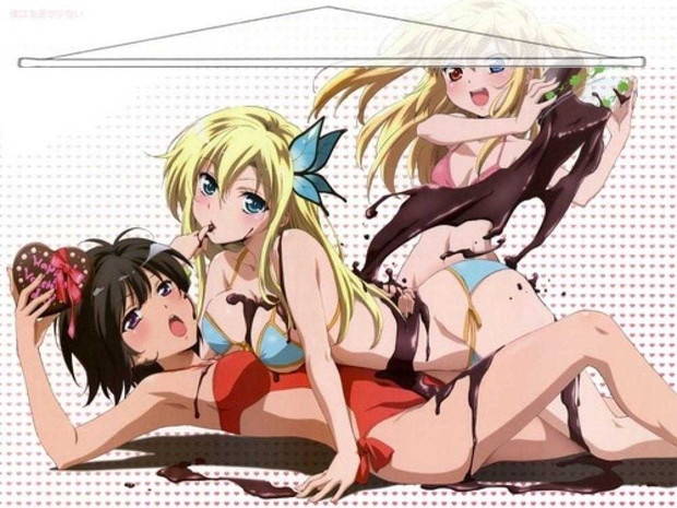 Haganai Japanese Anime Wall Scroll Poster and Banner 9 Anime Dakimakura Pillow Shop