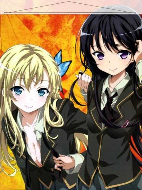 Haganai Japanese Anime Wall Scroll Poster and Banner 21 Anime Dakimakura Pillow Shop