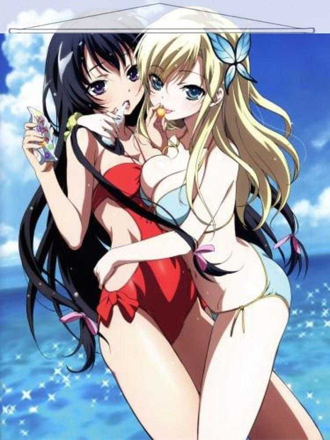 Haganai Japanese Anime Wall Scroll Poster and Banner 22 Anime Dakimakura Pillow Shop