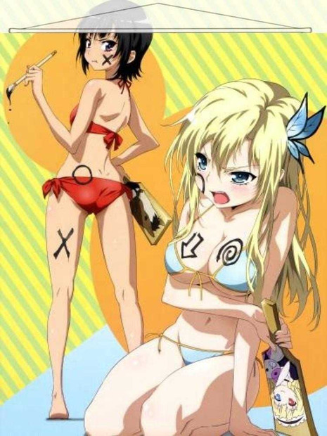 Haganai Japanese Anime Wall Scroll Poster and Banner 26 Anime Dakimakura Pillow Shop