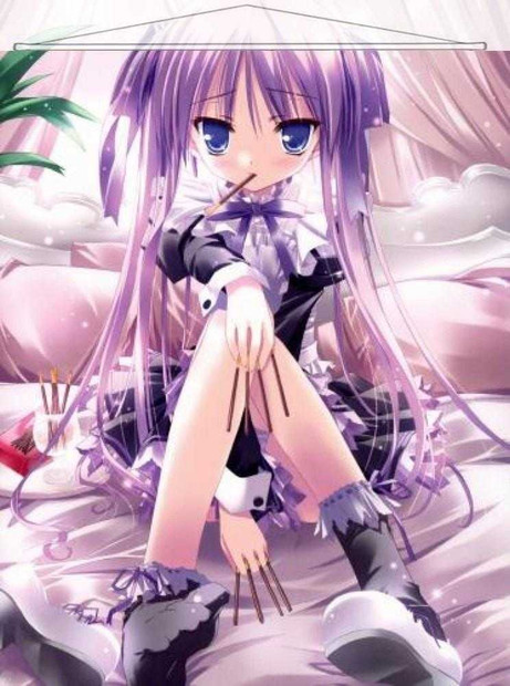 Lucky Star Japanese Kagami Hiiragi Anime Wall Scroll Poster and Banner 1 Anime Dakimakura Pillow Shop