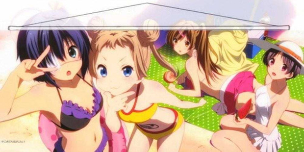 Chuunibyou demo Koi ga Shitai Japanese Anime Wall Scroll Poster and Banner 11 Anime Dakimakura Pillow Shop