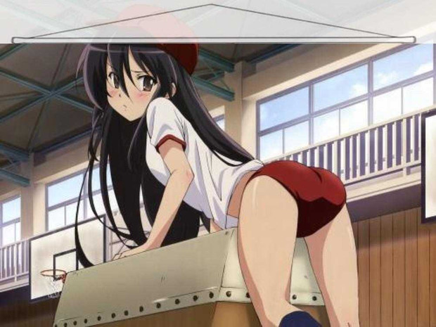 Shakugan no Shana Japanese Anime Wall Scroll Poster and Banner 11 Anime Dakimakura Pillow Shop