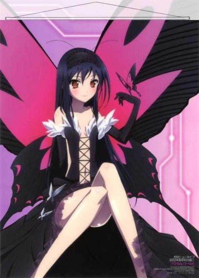 ADP Kuroyukihime - Accel World Japanese Anime Wall Scroll Poster and Banner 10 Anime Dakimakura Pillow Shop
