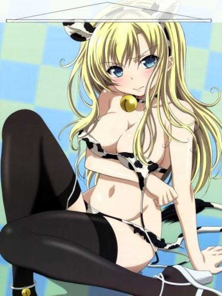 Haganai Japanese Anime Wall Scroll Poster and Banner 19 Anime Dakimakura Pillow Shop