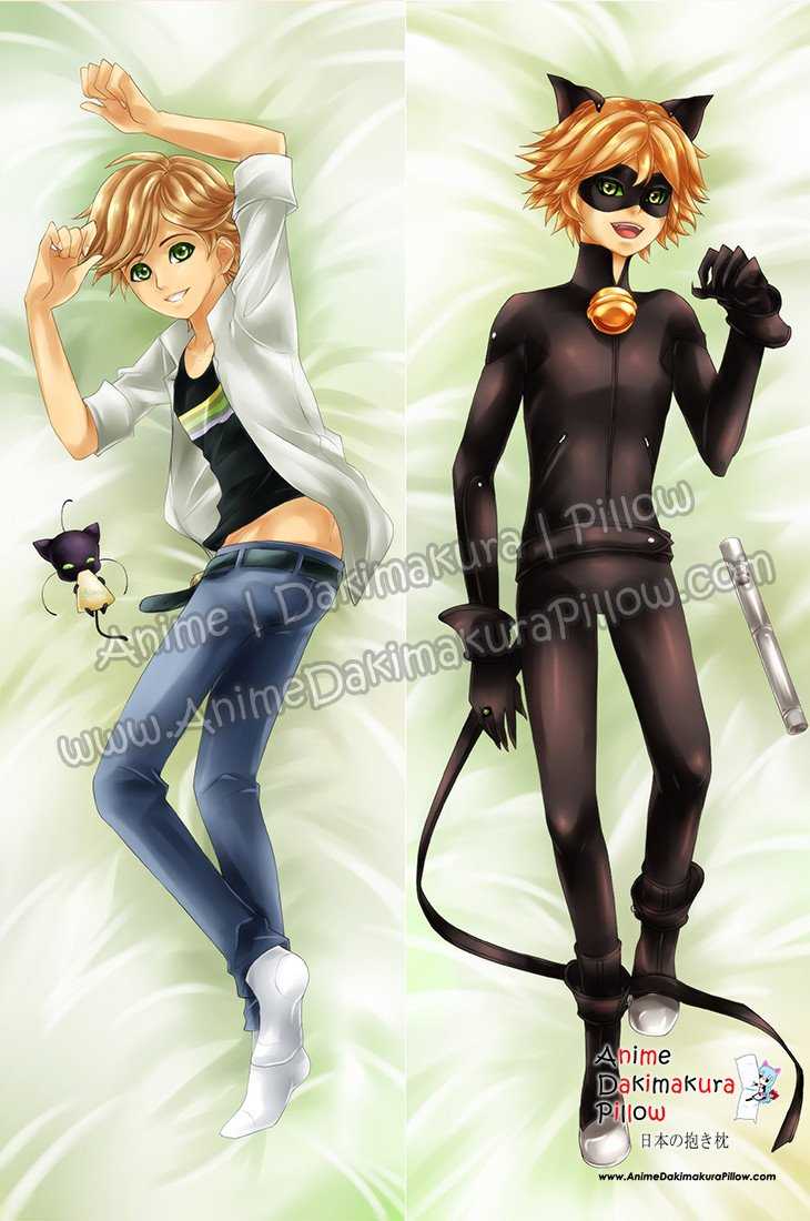 Anime Photos 2 - Miraculous Ladybug Anime-Adrien ve Chat Noir