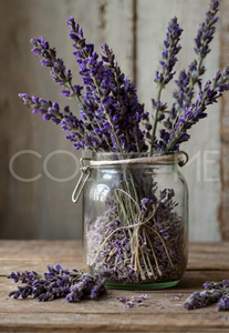 LAV011  Lovely Picture of Lavender  Flowers in a Glass Jar
