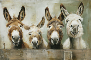 Donk003 Funny Farm Donkeys