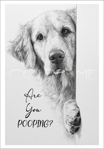 DPOOP001 "Sadie" Golden Retriever Are You Pooping?