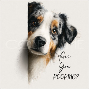DPOOP006 "Bear" Australian Shepard,  Are You Pooping?