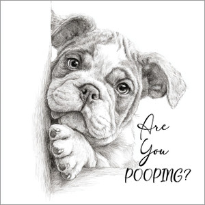 DPOOP010 "Winnie" Bulldog,  Are You Pooping?