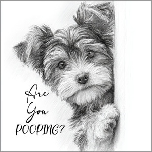 DPOOP015 "Milo" Yorkie,  Are You Pooping?