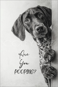 DPOOP019 "Hank" GSP, Are you Pooping?