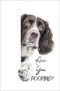 DPOOP022 "Charlie" Are you Pooping?