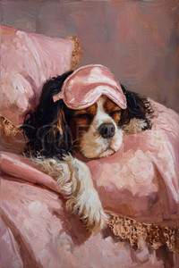 CAV001 "Wila" King Charles Cavalier