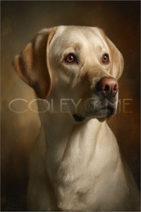 LAB002  "Charlie" Labrador Retriever