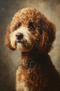 POOD003 "Tootles"Poodle