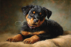 ROT001 "Sasha" Rottweiler