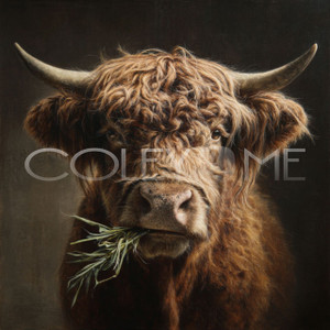 HC005 "Bessie" Miniature Highland Cow