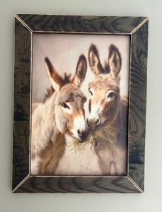 DONK005  "Jasper and June" Donkeys in Love