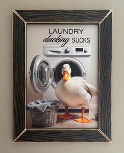 DUCKL001  Laundry Ducking Sucks