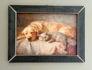 CAT004 Golden Retriever & Cat Snuggling