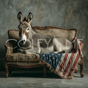 AME003 "Harry"  Donkey On Couch With American Flag