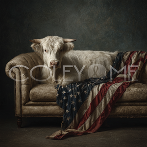 AME005 "Clarabelle"  Highland Cow On Couch With American Flag