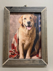 AME010  Golden Retriever with Flag