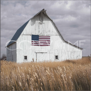 AME018 Barn With American Flag 2