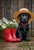 LRB007  "Ebony" Black Labrador Retriever Puppy with Rain Boots
